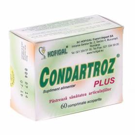 Condartroz Plus 60cps - Hofigal