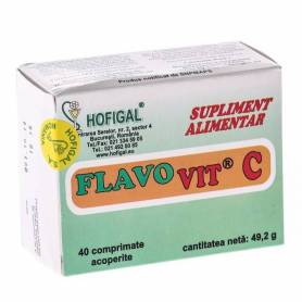 Flavovit C 500mg 40cps - Hofigal