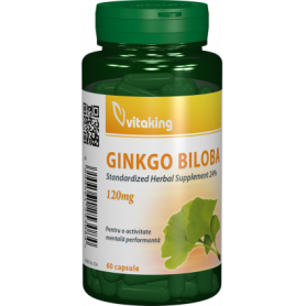 Ginkgo Biloba, 120Mg, 60cps - Vitaking