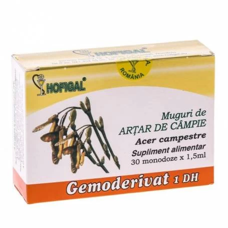 Gemoderivat Muguri Artar 30mdz - Hofigal