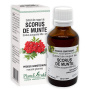 SCORUS DE MUNTE - muguri - gemoderivat, 50ml, PlantExtrakt