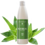 Gel de Aloe vera nativ, eco-bio, 250ml - Mayam