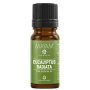 Ulei esential de Eucalipt Radiata, eco-bio, 10ml - Mayam