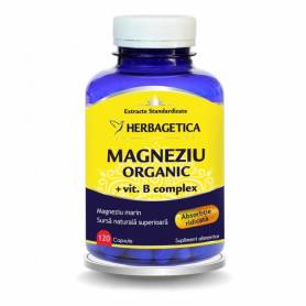 MAGNEZIU ORGANIC CU VITAMINA B, 120cps, HERBAGETICA