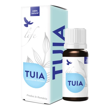 Ulei esential de Tuia, 10ml - Life Bio