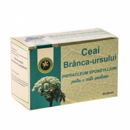 Ceai Branca Ursului 20dz - Hypericum