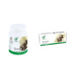 Ghimbir, 60cps si 30cps - MEDICA