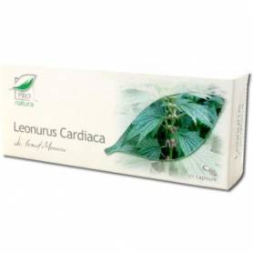 Leonurus cardiaca, 30cps - MEDICA