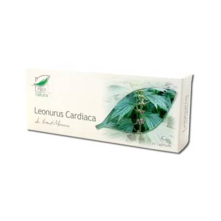 Leonurus cardiaca, 30cps - MEDICA