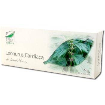 Leonurus cardiaca, 30cps - medica