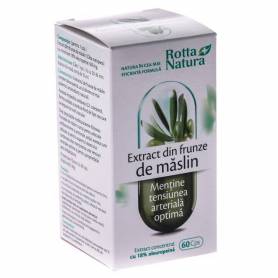 Extract Frunze Maslin 60cps - Rotta Natura