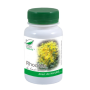 Rhodiola, 60cps - MEDICA
