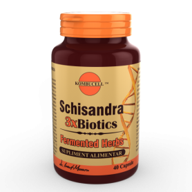 Schisandra 3xBiotics, 40cps - MEDICA