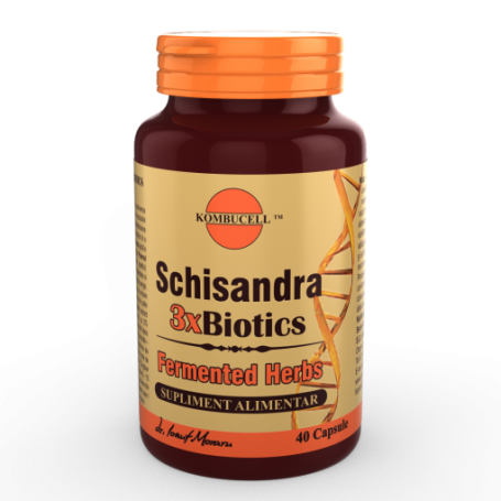 Schisandra 3xBiotics, 40cps - MEDICA
