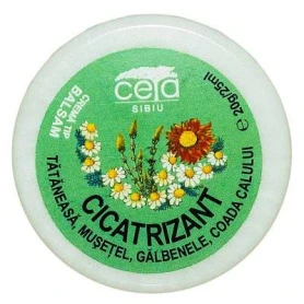 Unguent cicatrizant, 20g - CETA