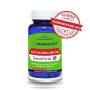 Silymarin 60cps - Hypericum