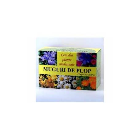 Ceai muguri de plop negru 40g - Hypericum