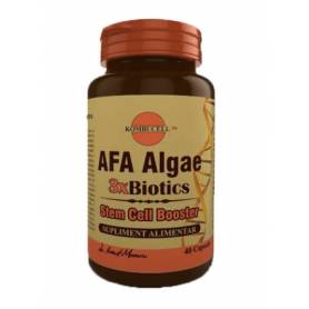 AFA ALGAE 3XBIOTICS, 40CPS - MEDICA