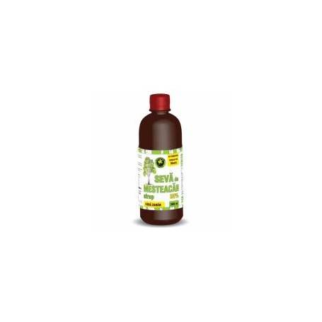 Sirop seva de mesteacan fara zahar 500ml - Hypericum