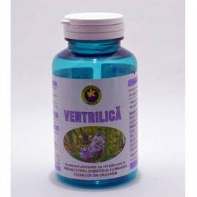 Ventrilica 60cps - Hypericum