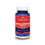 REGLATENS FORTE, 60CPS - HERBAGETICA
