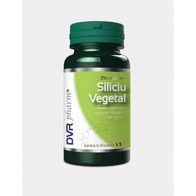 Siliciu Vegetal 60cps - DVR Pharm