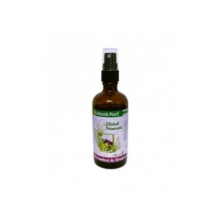 Ulei Samburi Struguri, 30ml - Arboria Plant