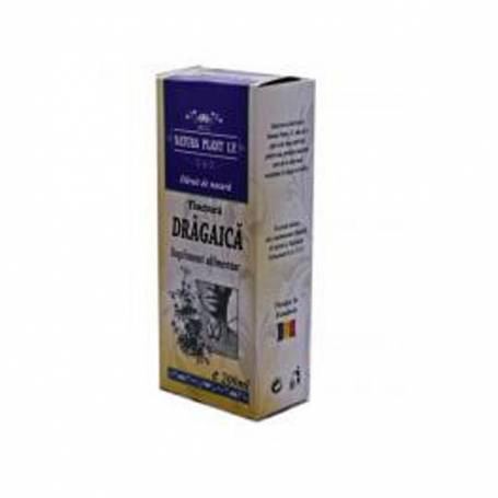 Tinctura din dragaica, 200ml – Natura Plant Poieni