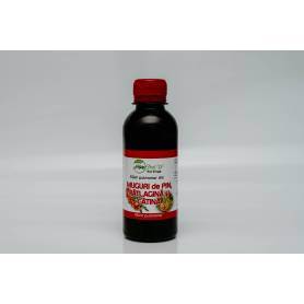 Elixir pulmonar din muguri de pin, patlagina si catina, 200ml – Natura Plant Poieni