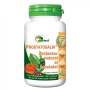Prostatosalm, 100tbs si 50tbs - Ayurmed