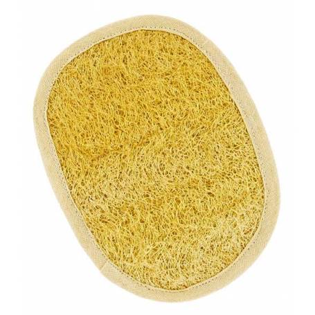 Luffa organica, 1buc - Förster's Natural Products