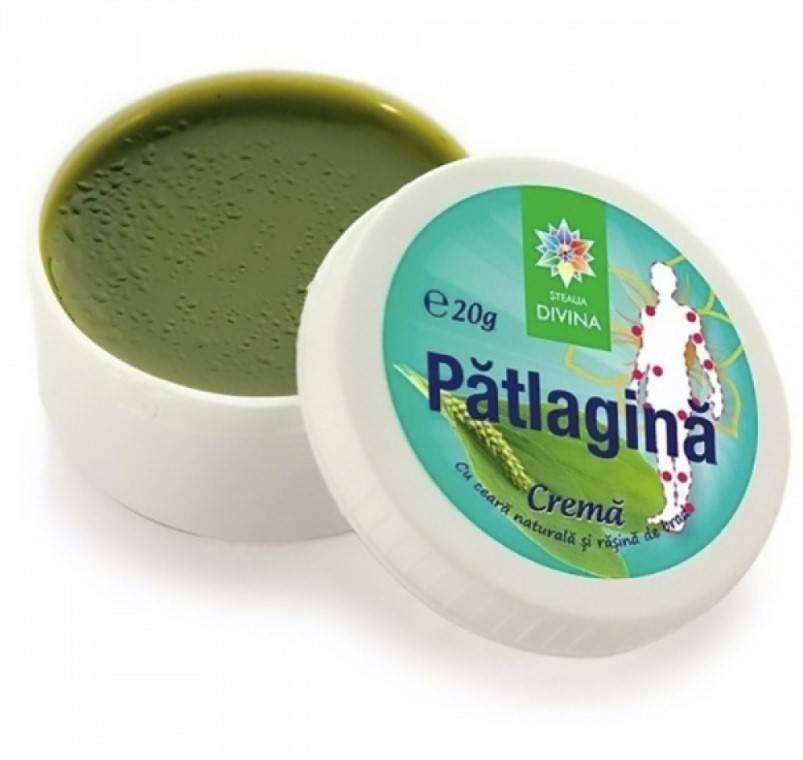 Crema de patlagina 20g - steaua divina