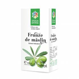 Tinctura de maslin, 50ml - Steaua Divina