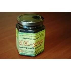 Mel - Prop 200g - Institutul Apicol