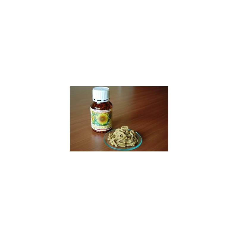 Polenolecitin 100g - Institutul Apicol