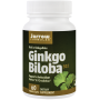 Ginkgo Biloba 60mg 60tb - Jarrow Formulas - Secom