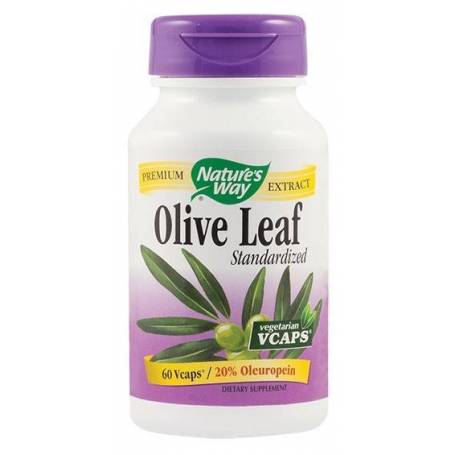 Olive Leaf 20% SE 60tb - Nature's Way - Secom 