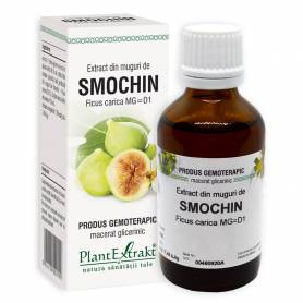 Smochin - muguri - gemoderivat  - 50ml - PlantExtrakt