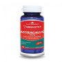 Astragalus, 500mg, 60cps si 30cps - Herbagetica