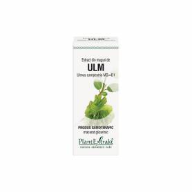ULM  - muguri - gemoderivat  - 50ml - PlantExtrakt