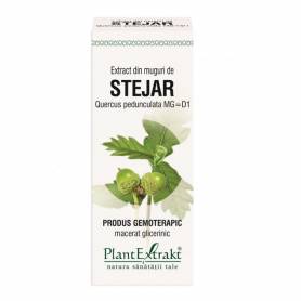 STEJAR - amenti - gemoderivat 50ml - PlantExtrakt