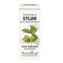 STEJAR - amenti - gemoderivat 50ml - PlantExtrakt