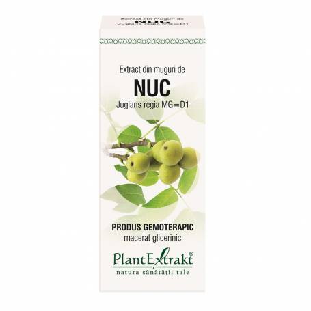 Varicoza nuc. Muscat nuc în varicoză