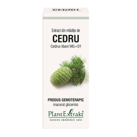 CEDRU - mladite - gemoderivat - 50ml - PlantExtrakt