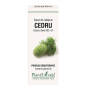 CEDRU - mladite - gemoderivat - 50ml - PlantExtrakt