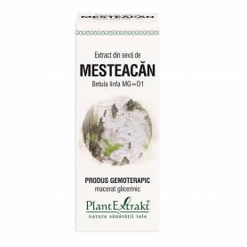SEVA DE MESTEACAN - gemoderivat - 50ml - PlantExtrakt