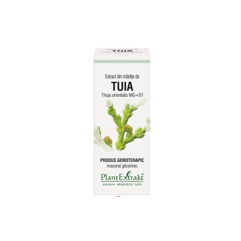 TUIA - mladite - gemoderivat - 50ml - PlantExtrakt