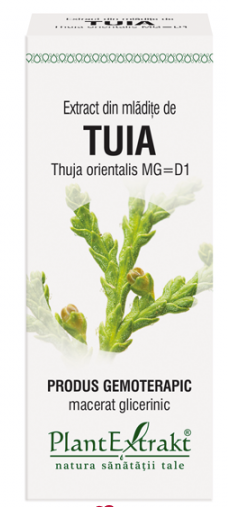 Tuia - mladite - gemoderivat - 50ml - plantextrakt