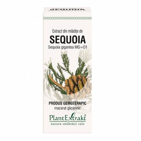 SEQUOIA - mladite - gemoderivat  - 50ml - PlantExtrakt