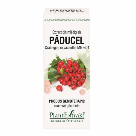 Paducel - mladite - gemoderivat  - 50ml - PlantExtrakt